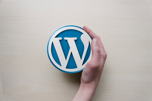 Logo WordPress tenu par une main sur fond clair.